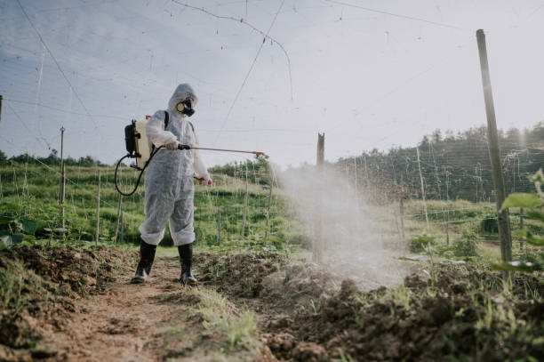 Best Mosquito Control Services  in Orlinda, TN