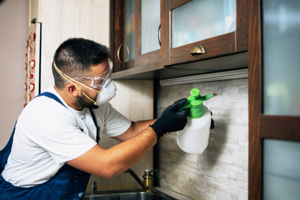 Best Exterminator Services  in Orlinda, TN
