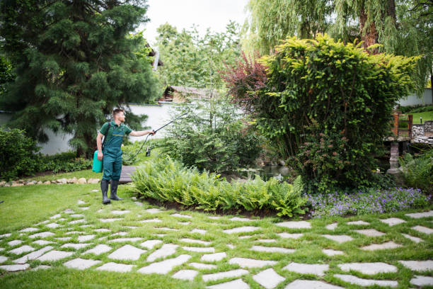 Best Residential Pest Control  in Orlinda, TN