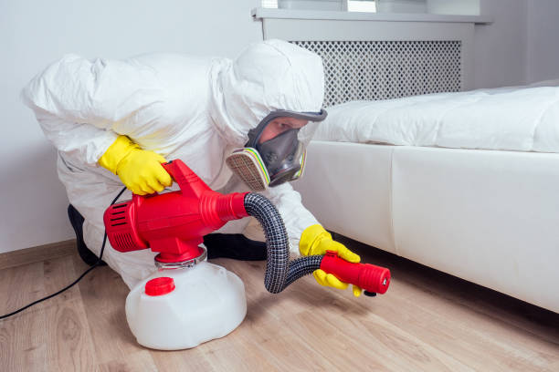Best Affordable Pest Control Services  in Orlinda, TN