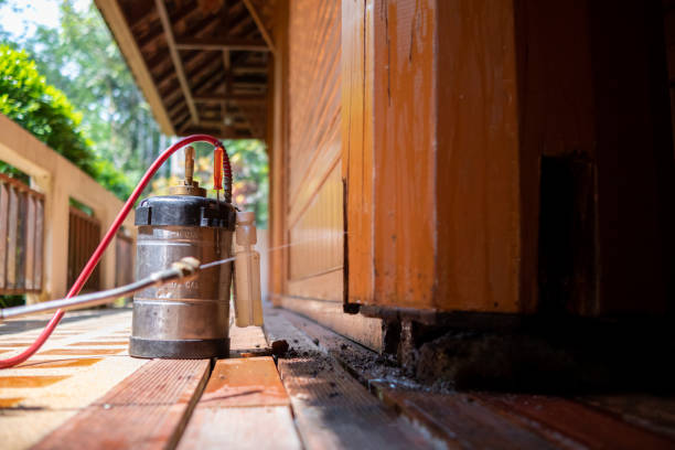 Best Commercial Pest Control Services  in Orlinda, TN