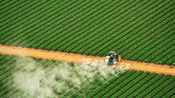 Best Pest Inspection Near Me  in Orlinda, TN