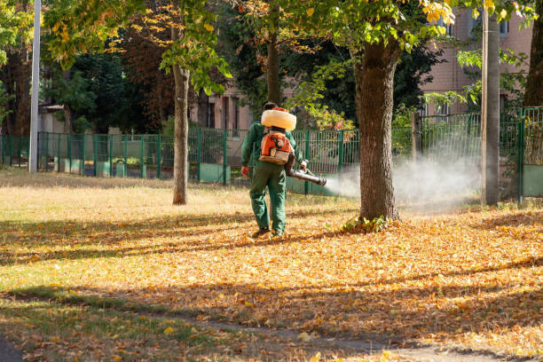 Best Local Pest Control Services  in Orlinda, TN