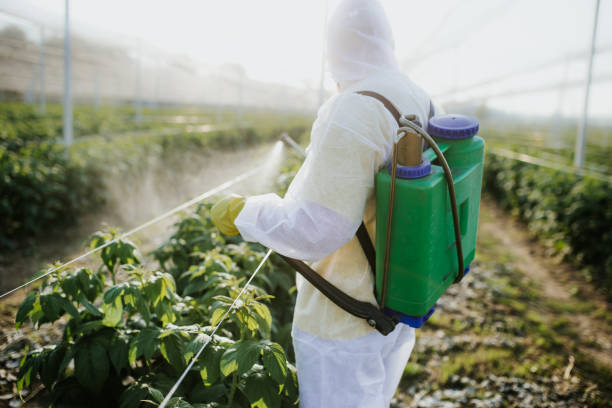 Best Emergency Pest Control  in Orlinda, TN